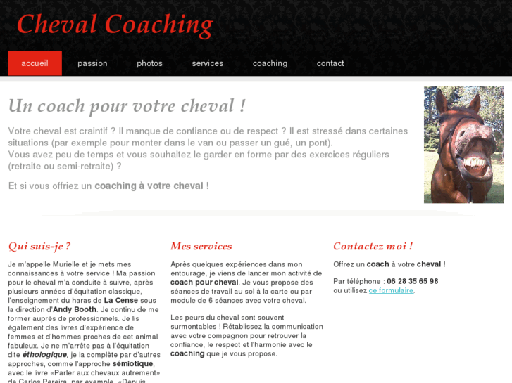 www.cheval-coaching.com