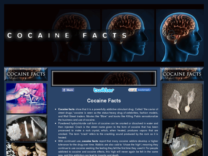 www.cocaine-facts.com