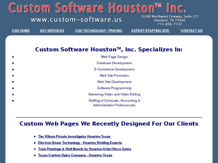 www.custom-software.us