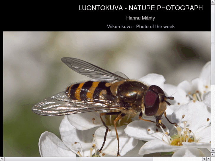 www.luontokuva.eu