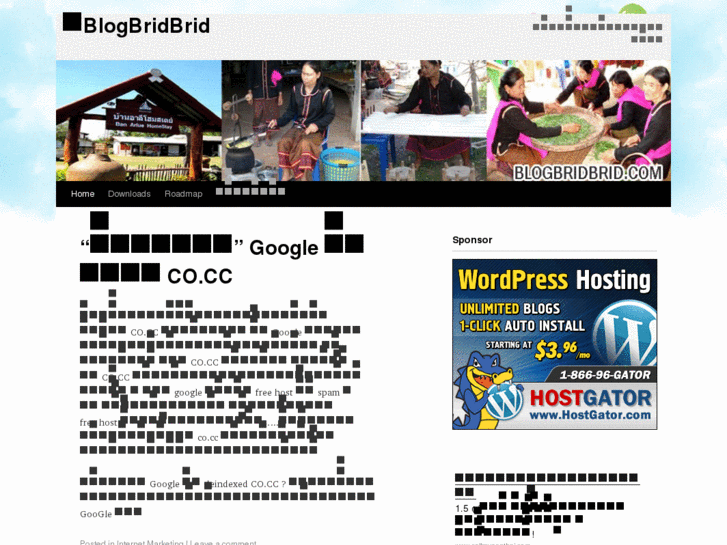 www.blogbridbrid.com