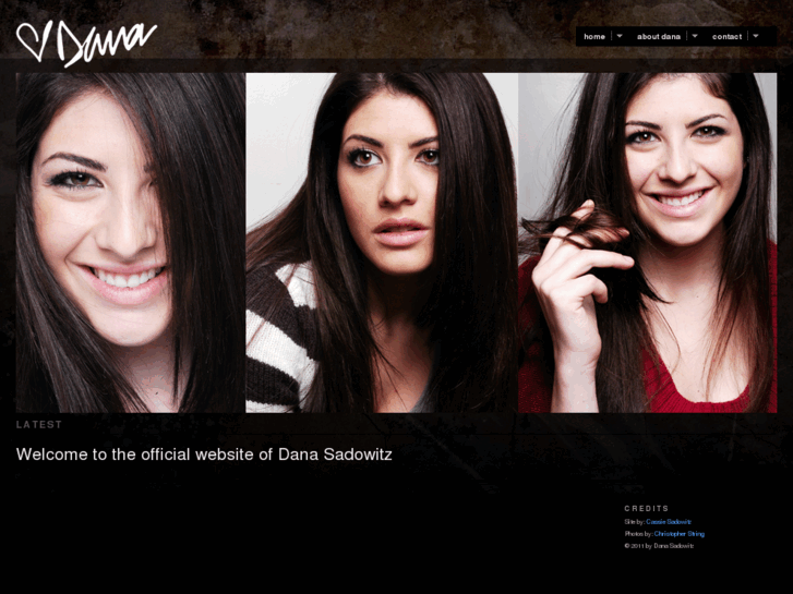 www.danasadowitz.com