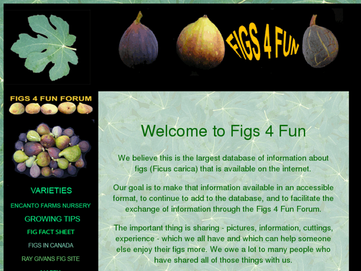 www.figs4fun.com