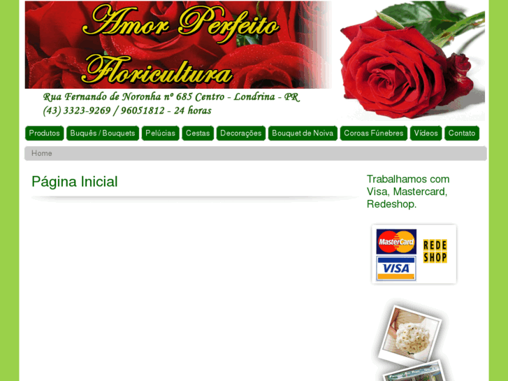 www.floriculturaamorperfeitolda.com