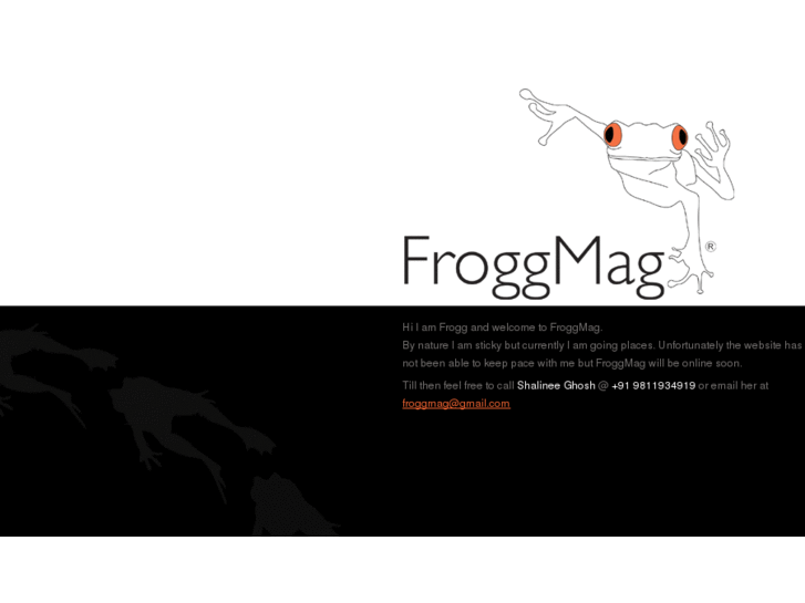 www.froggdesign.com