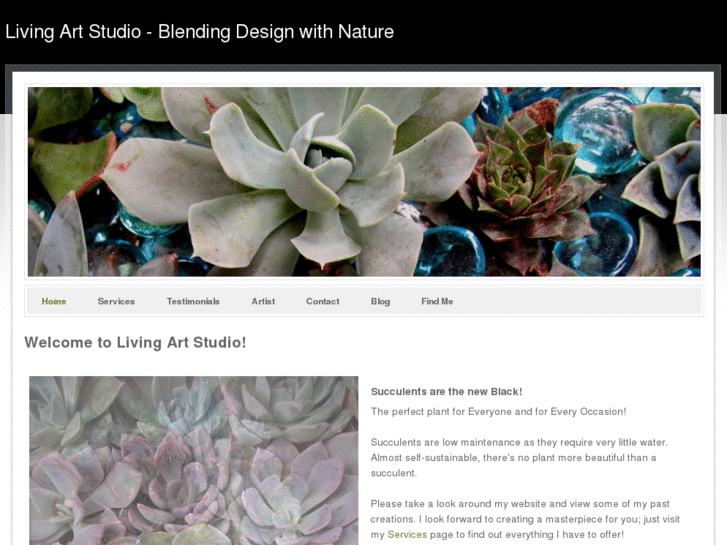 www.livingartstudio.biz