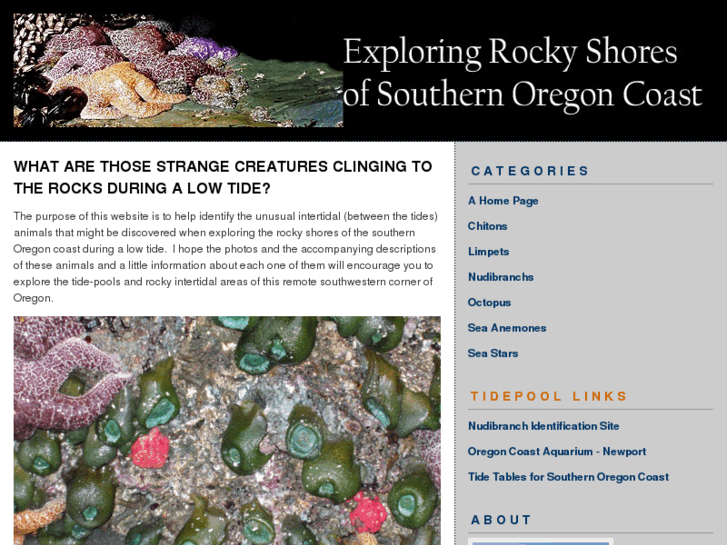 www.oregontidepooling.com