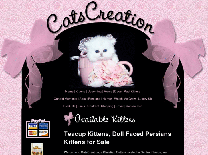 www.teacupkittens.net