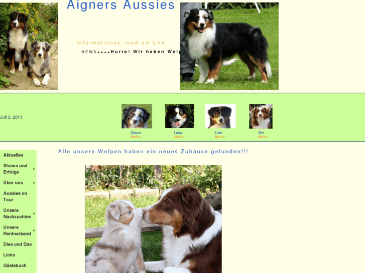 www.aigners-aussies.de