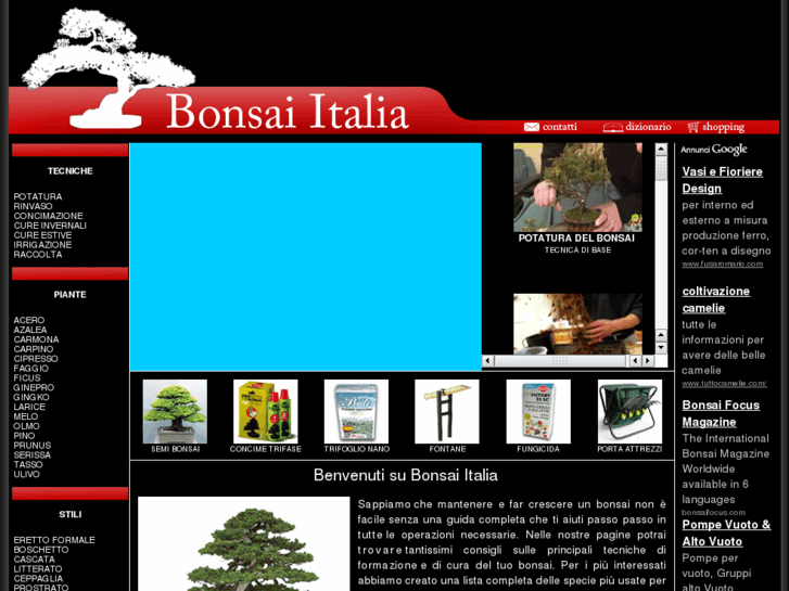 www.bonsai-italia.it