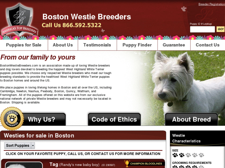 www.bostonwestiebreeders.com