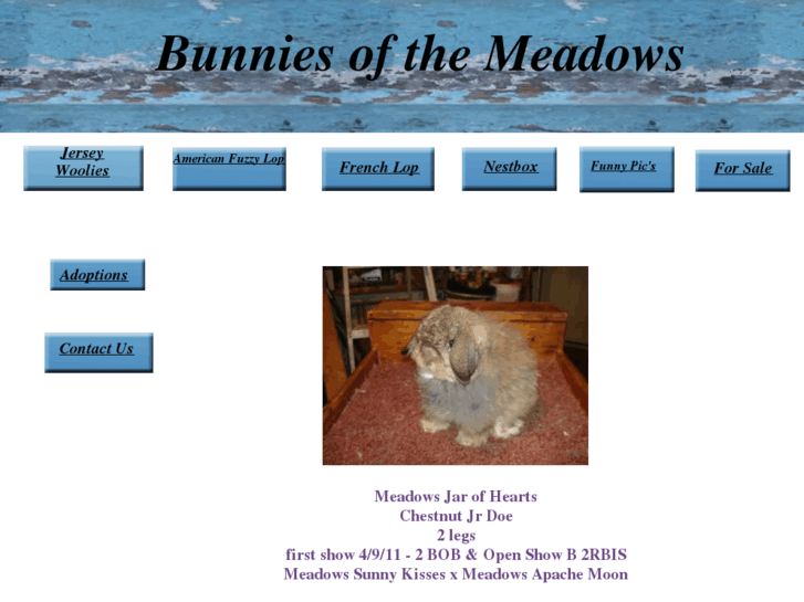 www.bunniesofthemeadows.com