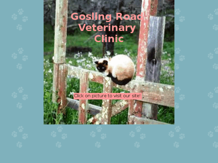 www.goslingroadvet.com