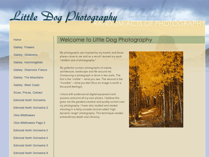 www.littledogphotography.com