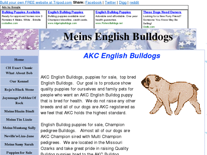 www.meinsbulldogs.com