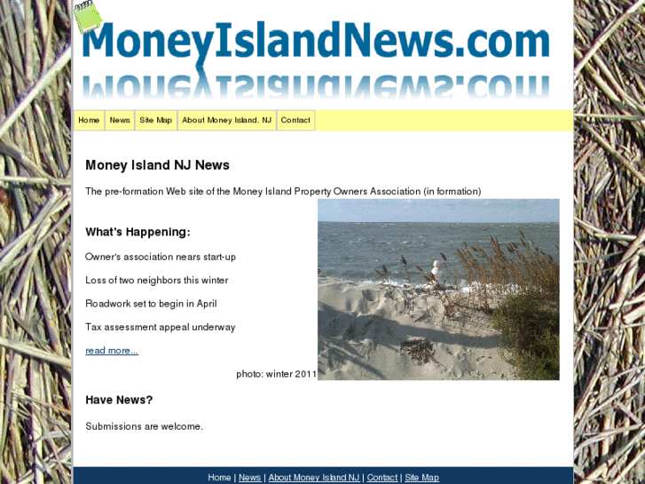 www.moneyislandnews.com