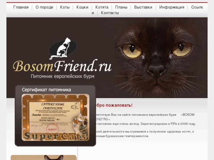 www.bosomfriend.ru