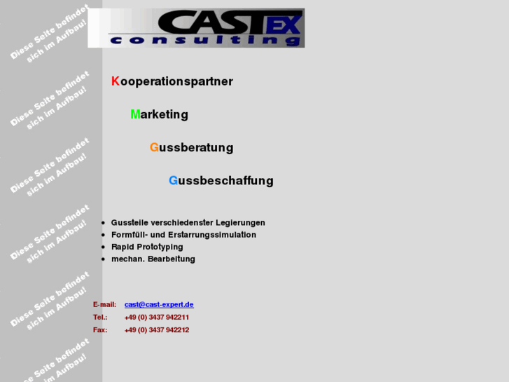 www.cast-expert.com