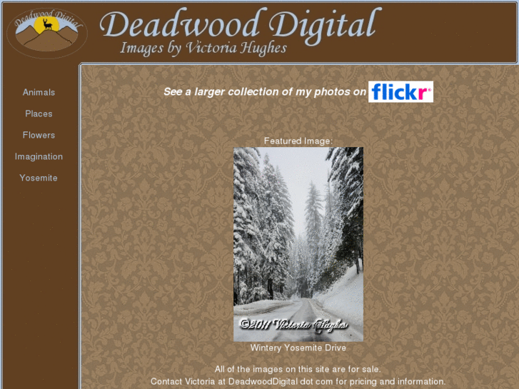 www.deadwooddigital.com