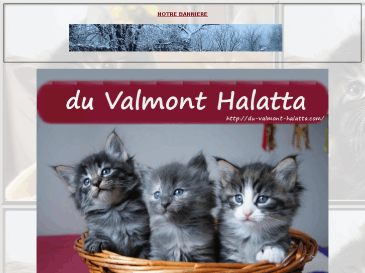 www.du-valmont-halatta.com