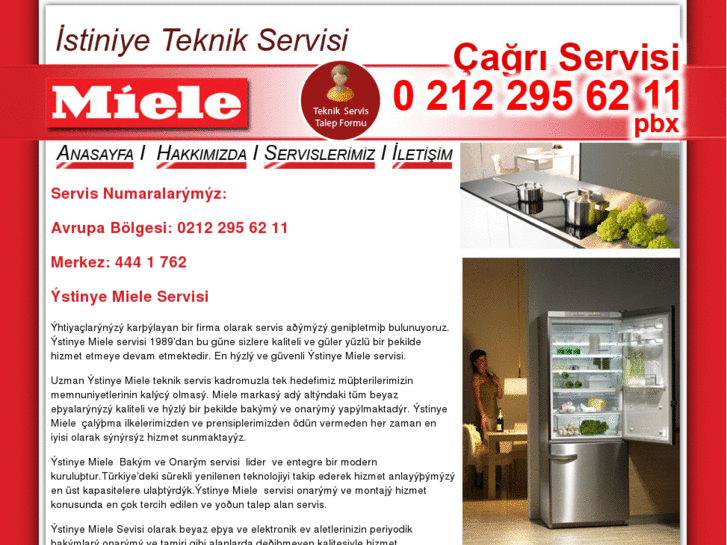 www.istinyemieleservisi.net