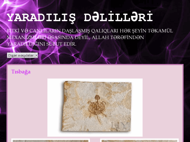 www.yaradilisdelilleri.com