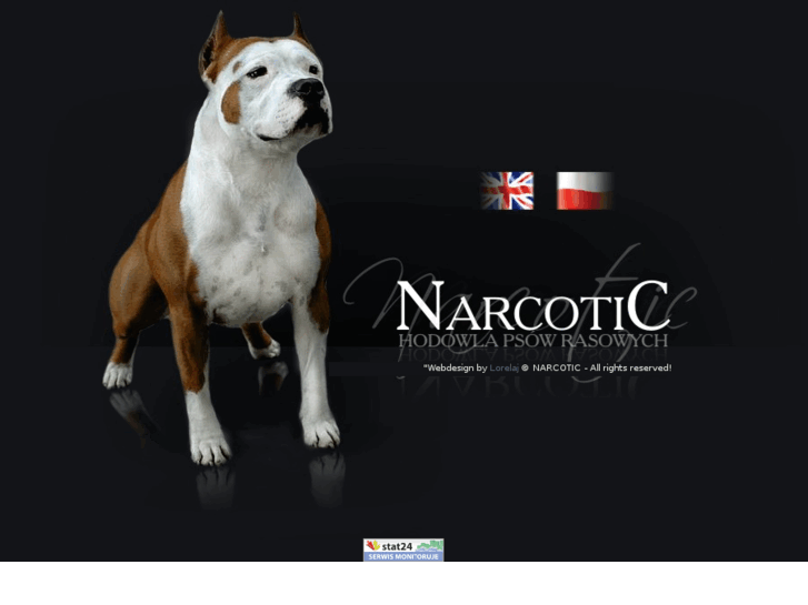 www.axel-narcotic.com