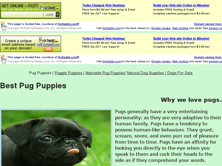 www.bestpugpuppies.net