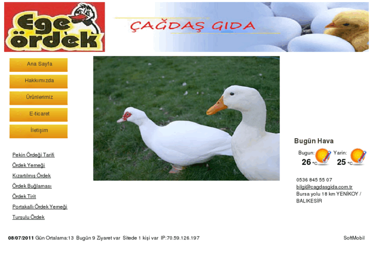 www.cagdasgida.com.tr