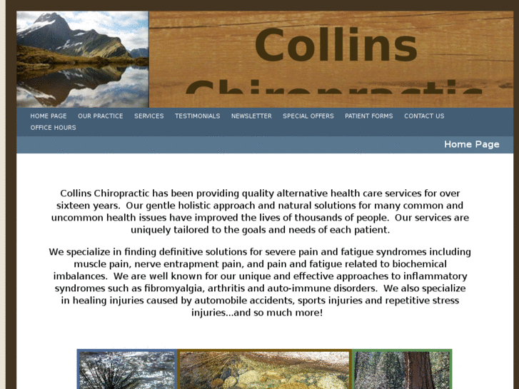 www.collinschiropracticinc.com