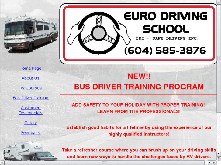 www.eurodrivingschool.ca