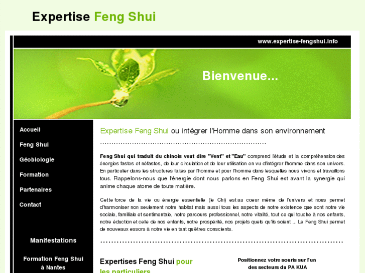 www.expertise-fengshui.info