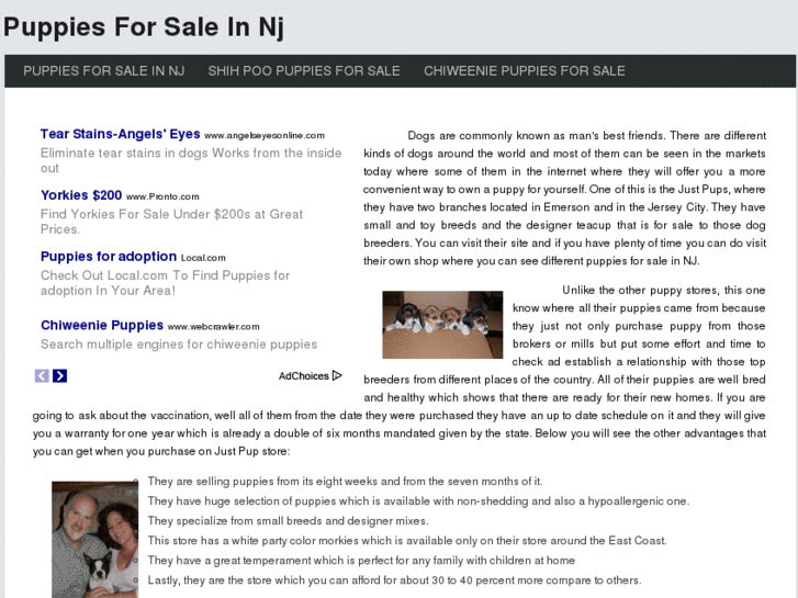 www.puppiesforsaleinnj.com