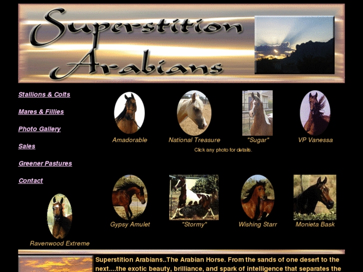www.superstitionarabians.com