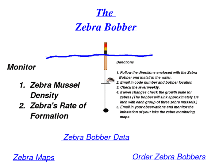 www.zebrabobber.com