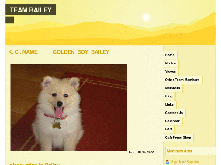 www.goldenboybailey.com