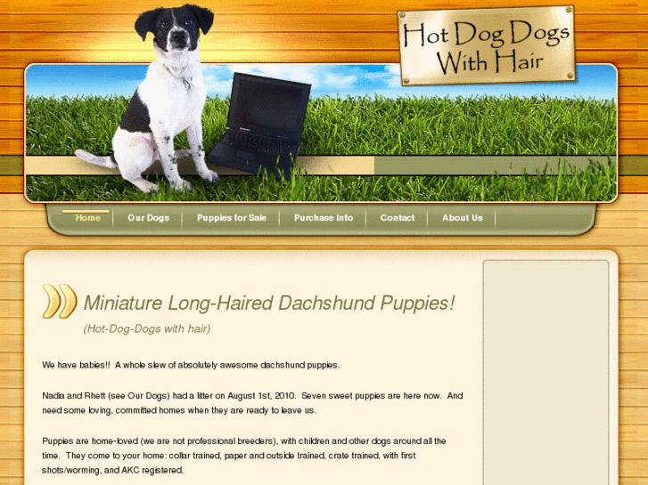 www.hotdogdogswithhair.com