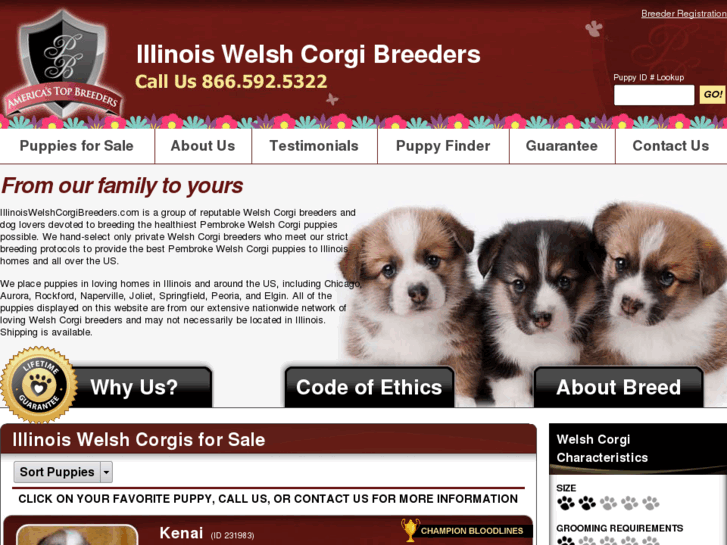 www.illinoiswelshcorgibreeders.com