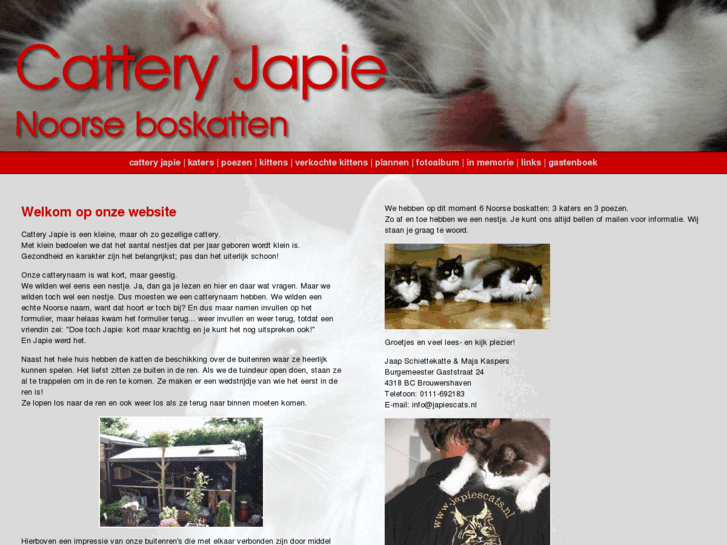 www.japiescats.nl