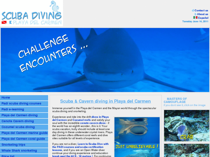 www.scubadivinginplayadelcarmen.com