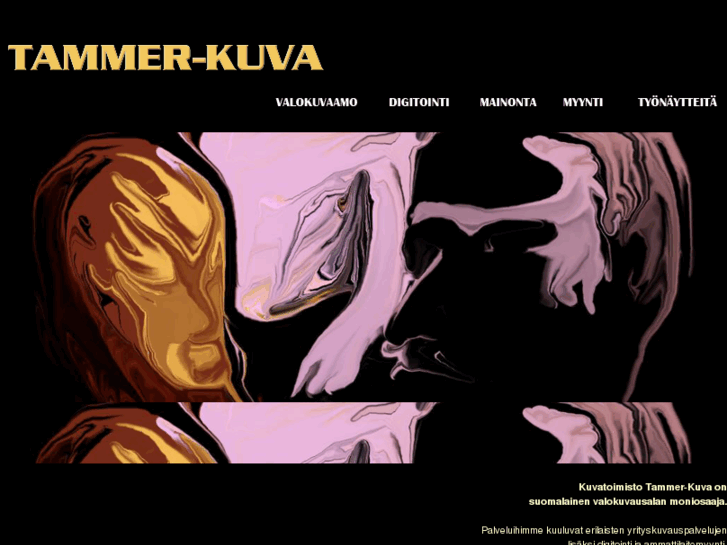 www.tammerkuva.fi