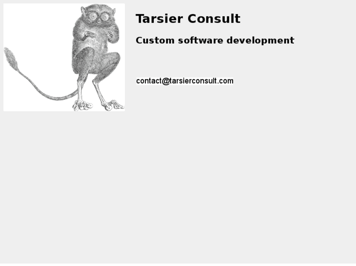 www.tarsierconsult.com