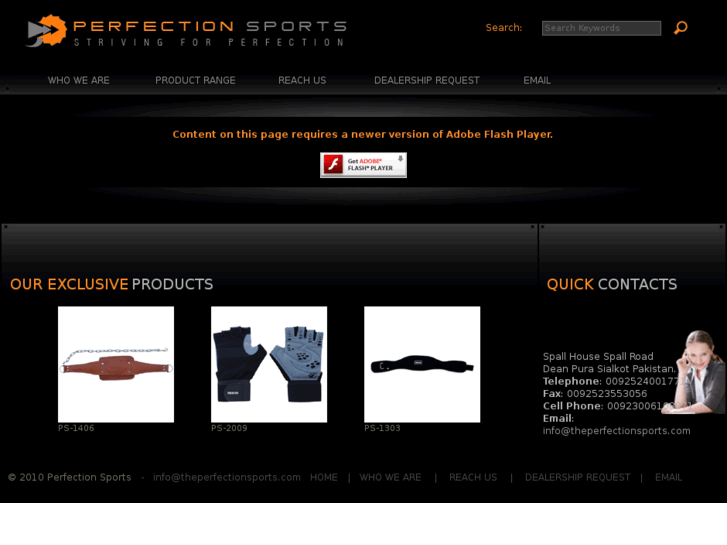 www.theperfectionsports.com