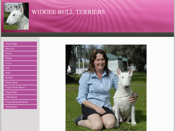 www.widgeebullterriers.com