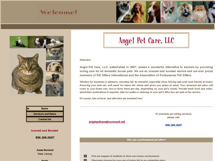 www.angelpetcare.net