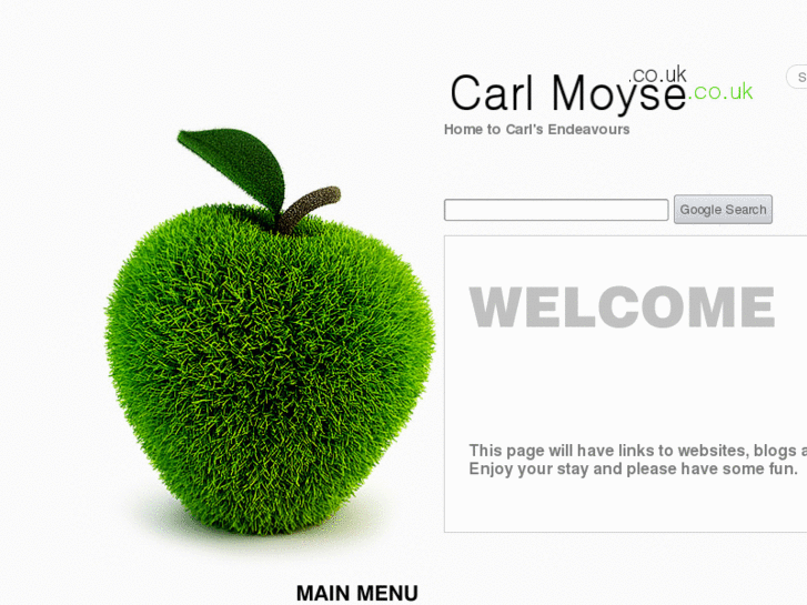 www.carlmoyse.co.uk