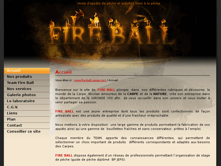 www.fire-ball-carpe.com