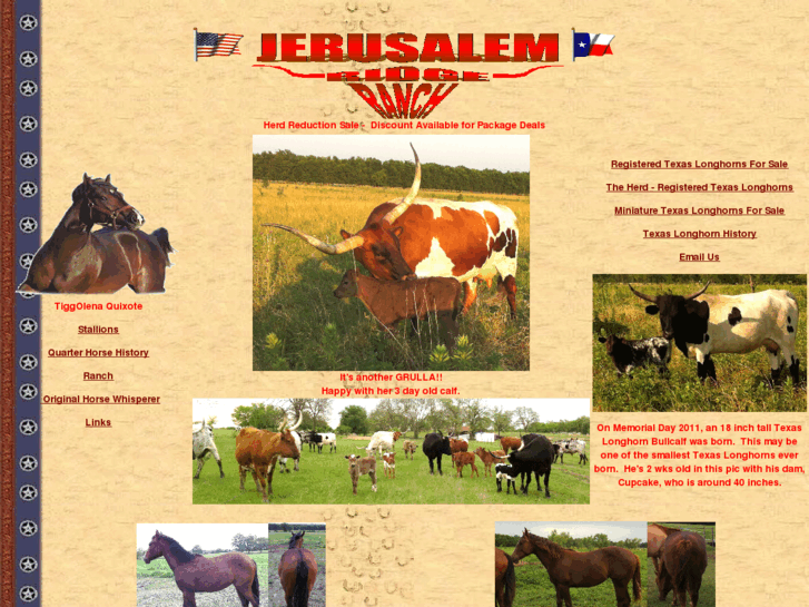 www.jerusalemridgeranch.com