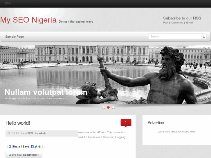 www.myseonigeria.com