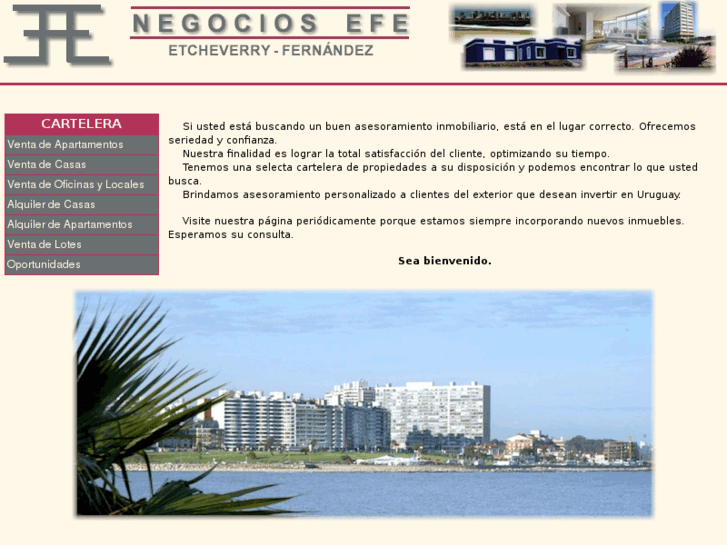 www.negociosefe.com